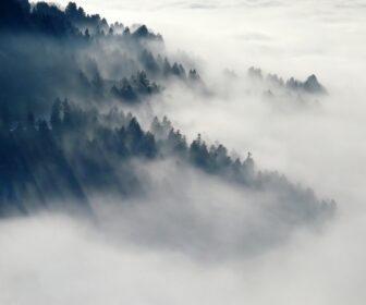 sennik mgła